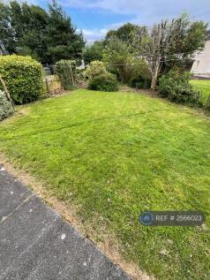 Back Garden