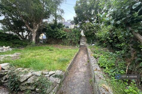 Rear Garden - Needs Some Tlc!