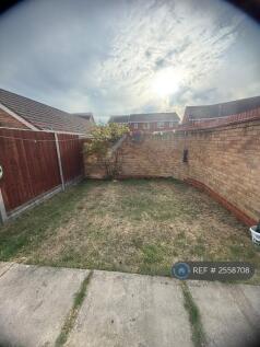 Back Garden