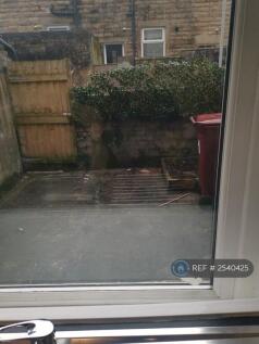 Back Garden