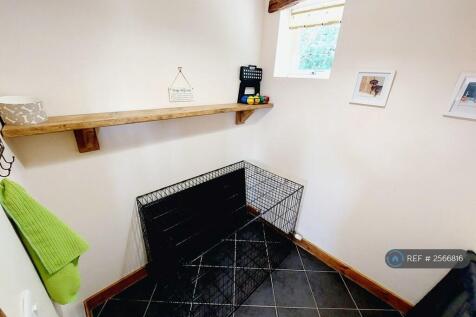 Store/Dog Room