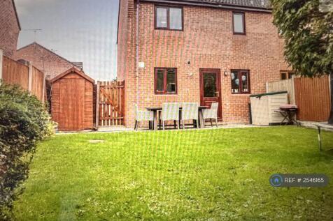 Back Garden