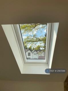 a View From Bedroom