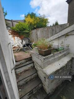 Shared Garden/Courtyard (1)