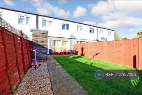 Back Garden