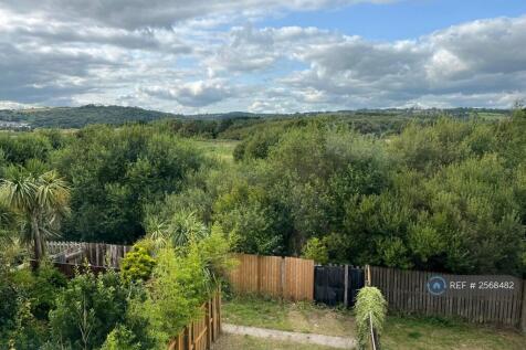 Back Garden