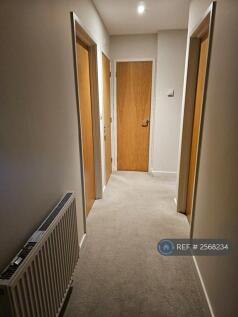 Downstairs Hallway