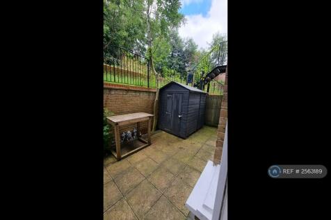Rear Yard