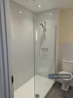 Large Shower 