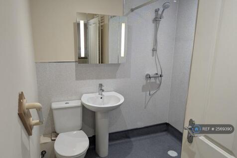 Wet Shower Room Level Access