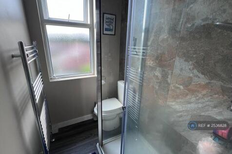 Second Bathroom. Huge Shower Head.