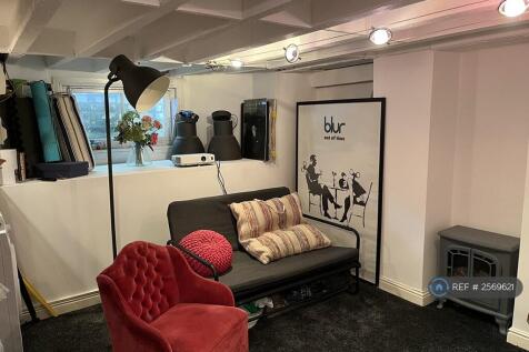 Playroom / Utility Space