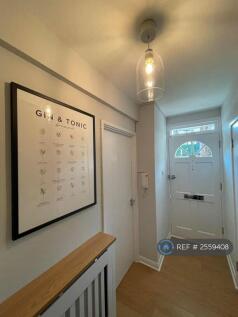 Downstairs Hallway 