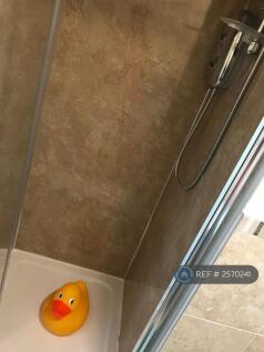 Ensuite With Mirror Cabinet, Shaver Point