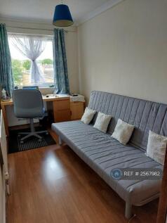 Single Bed Room