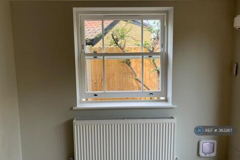 Side Window