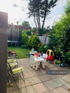 Back Garden