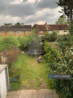 Back Garden