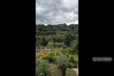 Back Garden And Rear View