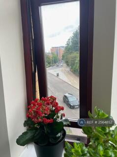 View From Living Room