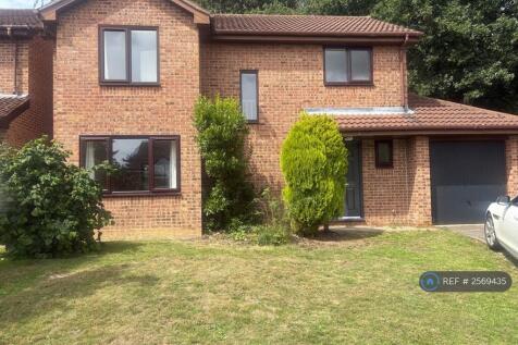 Property Image 14