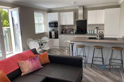 Kitchen / Living Area