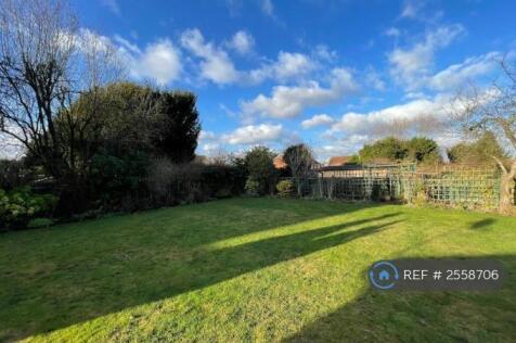 Extensive Garden Back And Side