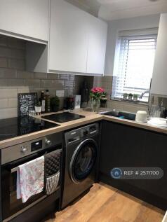 Kitchen Washing Machine