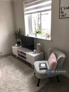 Living Room-Window Facing Street 