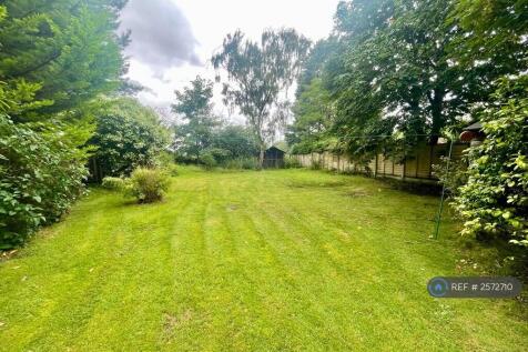 Back Garden