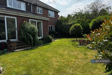 Rear Garden 2