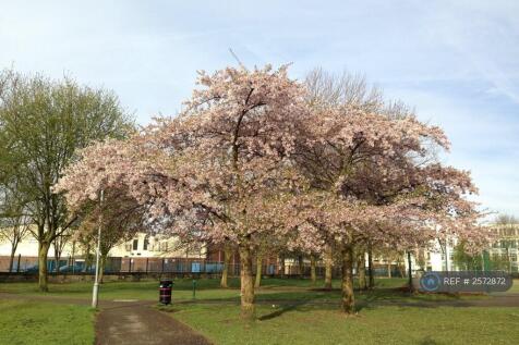 Ordsall Park 