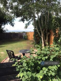 Back Garden