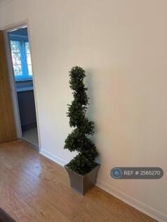 Lounge To Kitchen