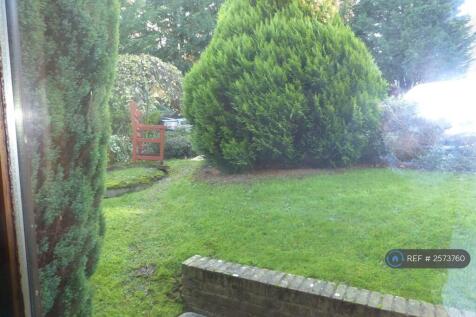 View From The Patio Doors