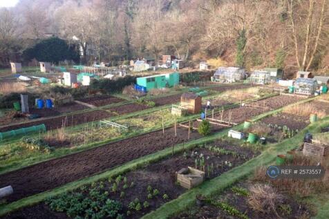 Local Garden Allotment (1 Min Walk)