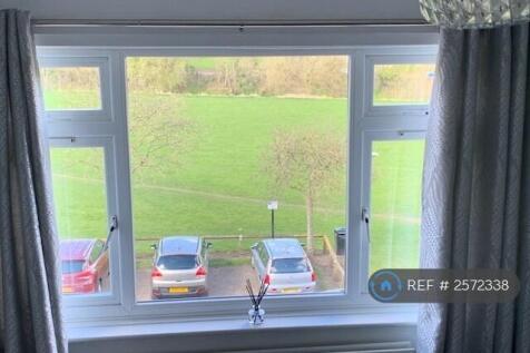 View From Living Room