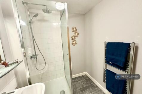 Shower &amp; Towel Rail 