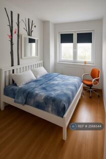 Large Insuite Bedroom