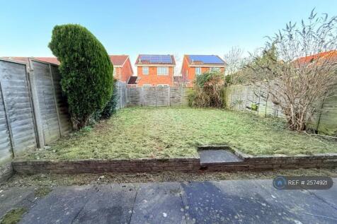 Back Garden