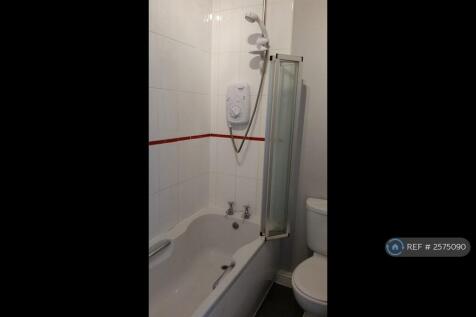 White Bath With Electric Shower Over