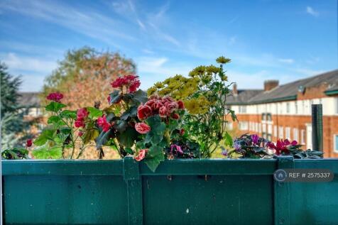Window Box 
