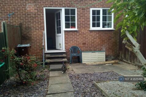Low Maintenance Garden
