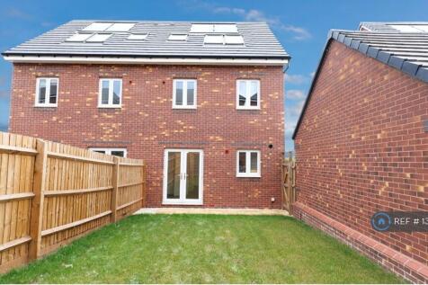 Back Garden