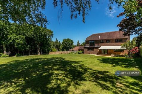 Rear Garden (View From Silver Birch Tree)