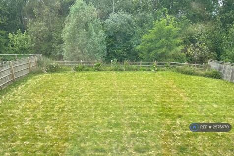South Facing Back Garden