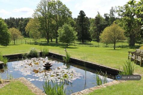 Pond Within Parkland Grounds