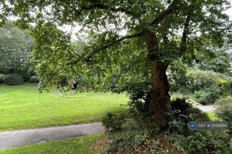 Shared Back Garden