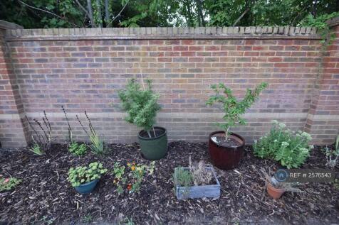 Front Garden In The Courtyard