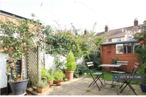 Back Garden 1